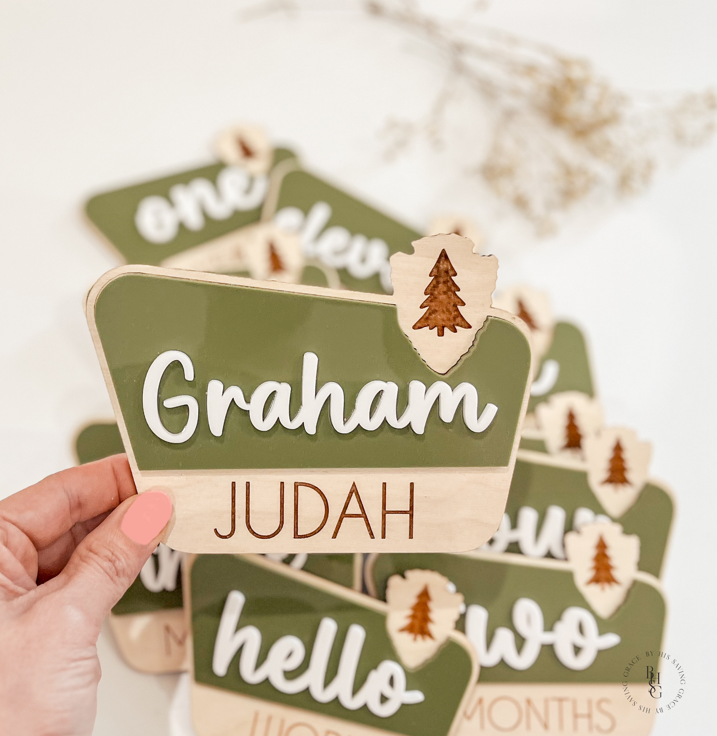 National Park Monthly Milestone Discs For Baby Photos + Matching Nameplate Sign