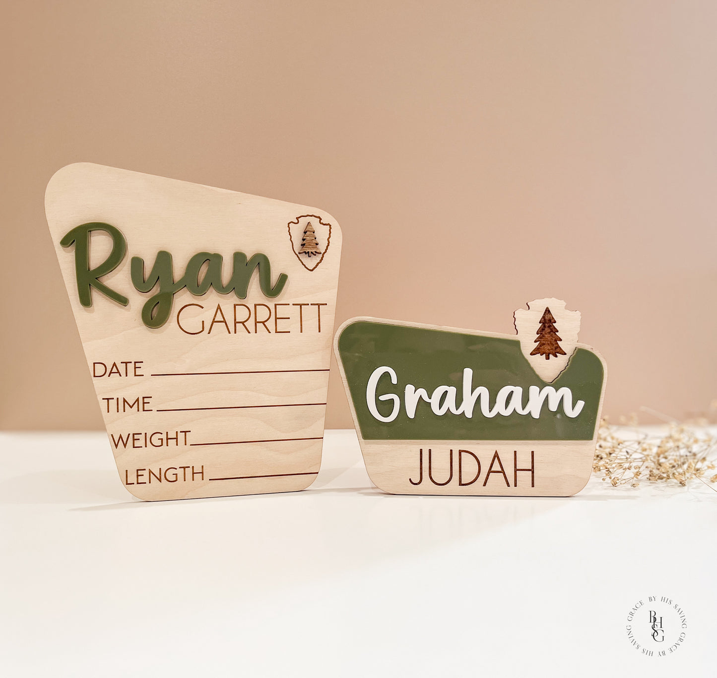 National Park Monthly Milestone Discs For Baby Photos + Matching Nameplate Sign