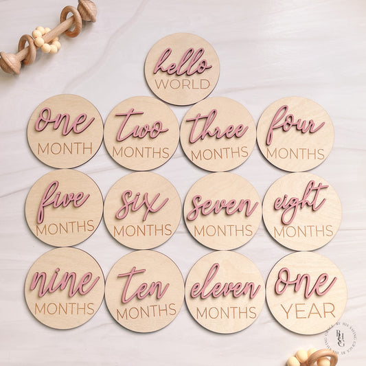 3D Monthly Milestone Markers with Vintage Rose Months
