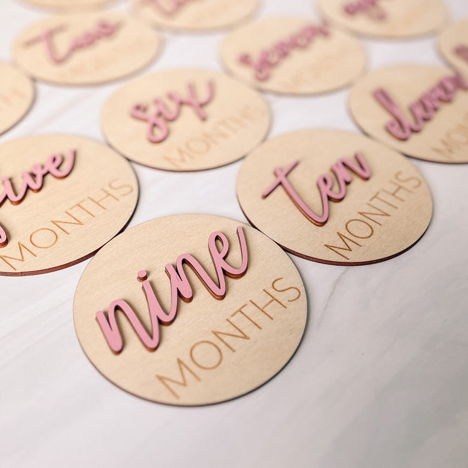 3D Monthly Milestone Markers with Vintage Rose Months