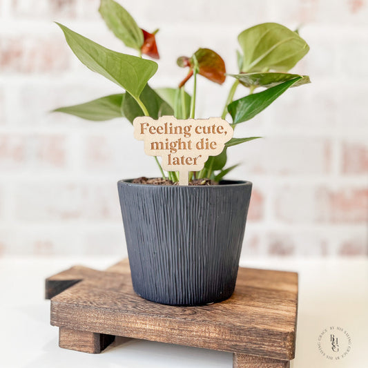 Funny Wooden Plant Stakes