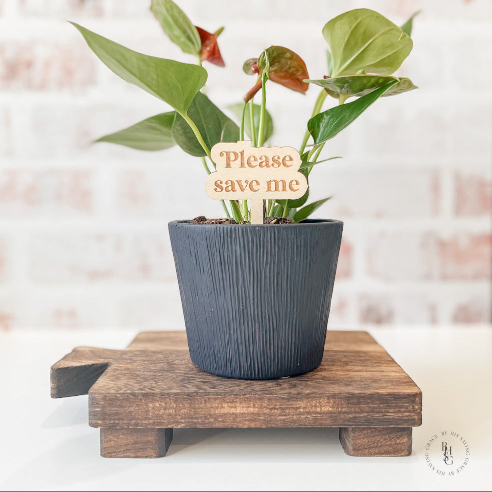 Funny Wooden Plant Stakes