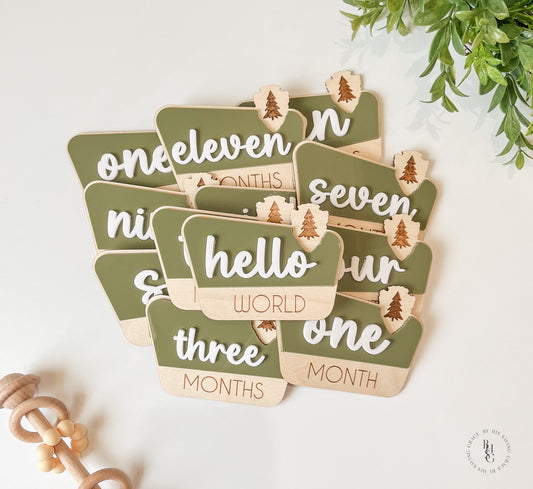 National Park Monthly Milestone Discs For Baby Photos + Matching Nameplate Sign