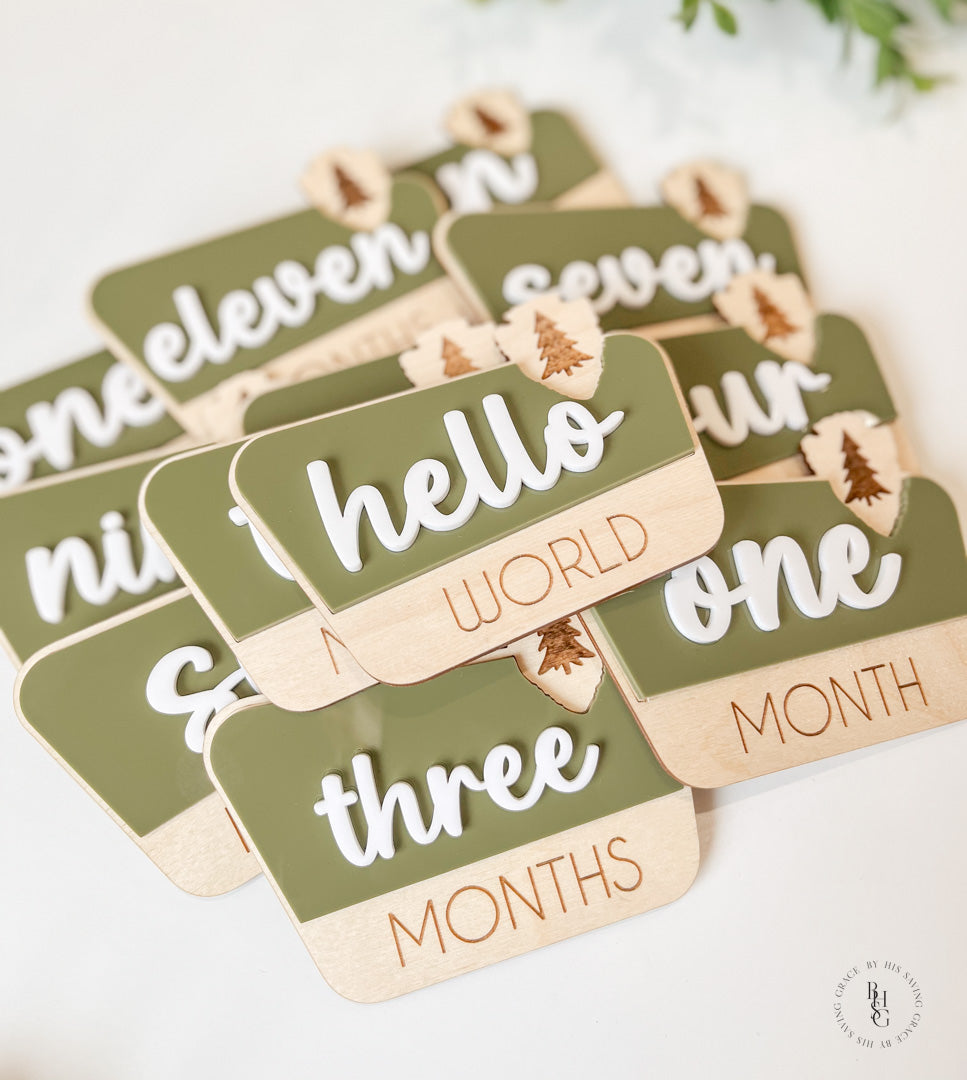 National Park Monthly Milestone Discs For Baby Photos + Matching Nameplate Sign
