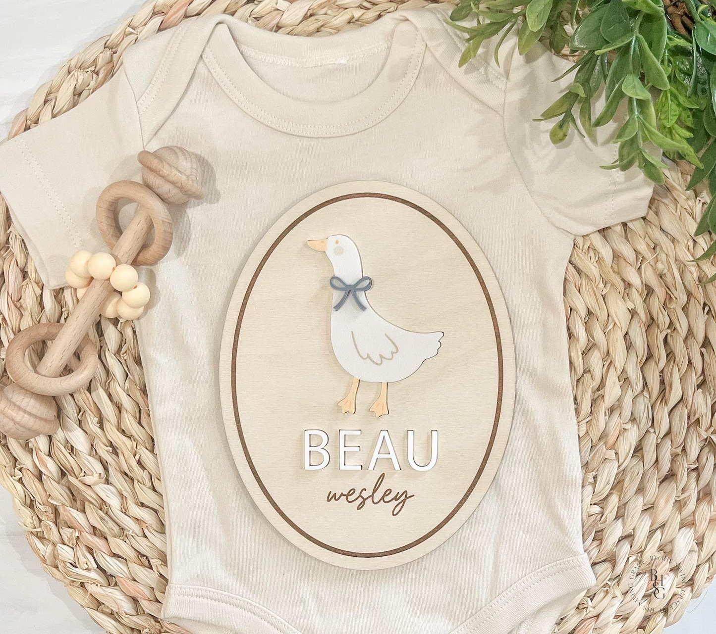 Silly Goose Baby Announcement Sign