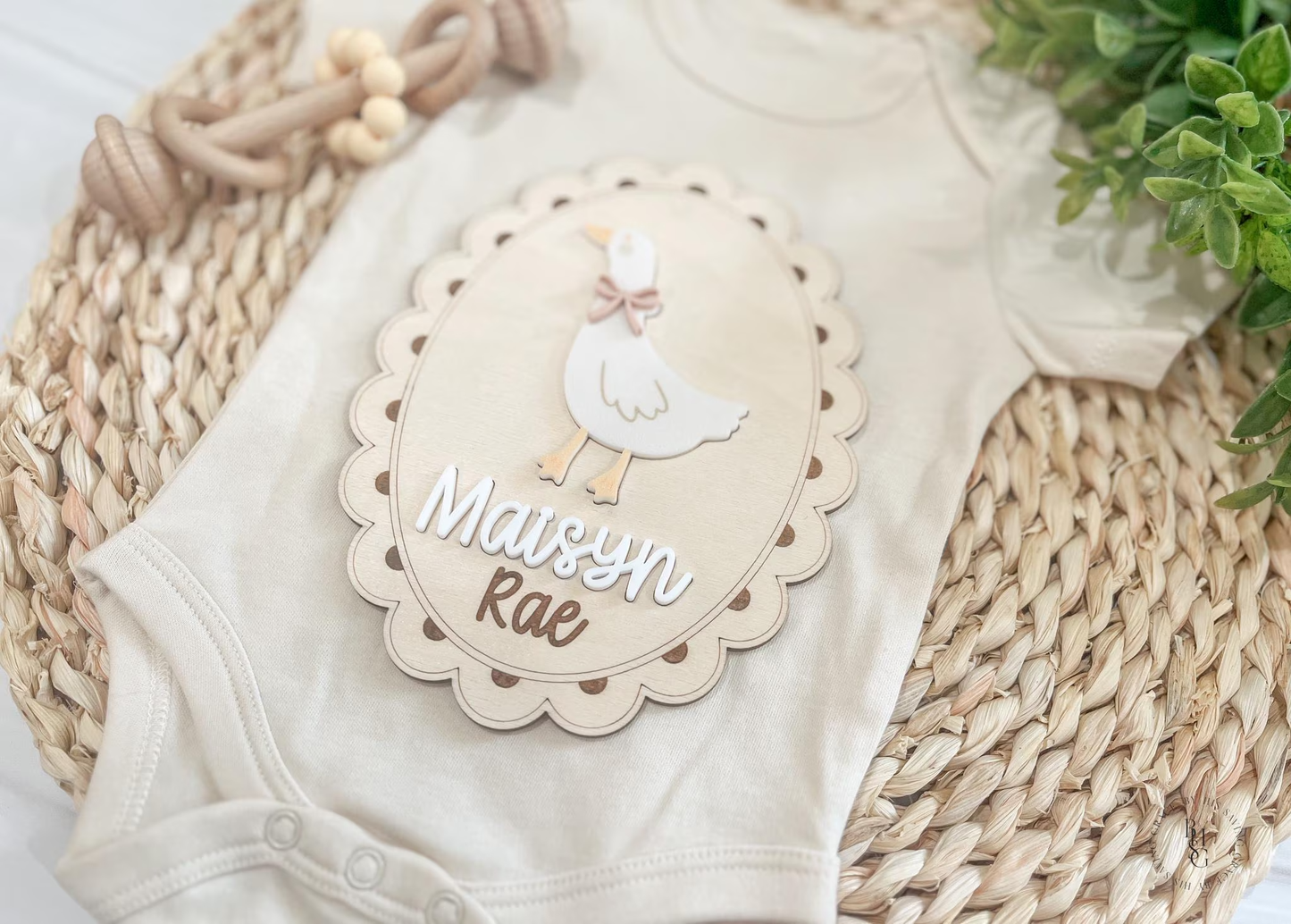Silly Goose Baby Announcement Sign