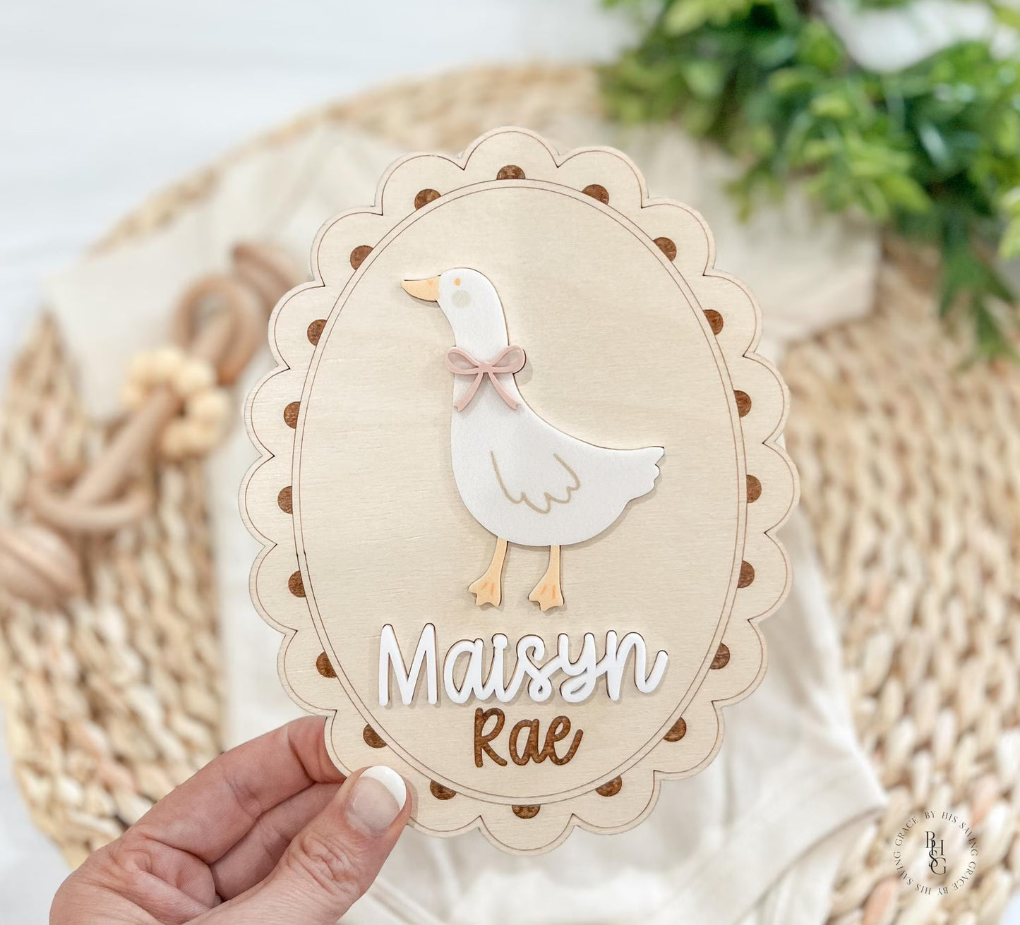 Silly Goose Baby Announcement Sign