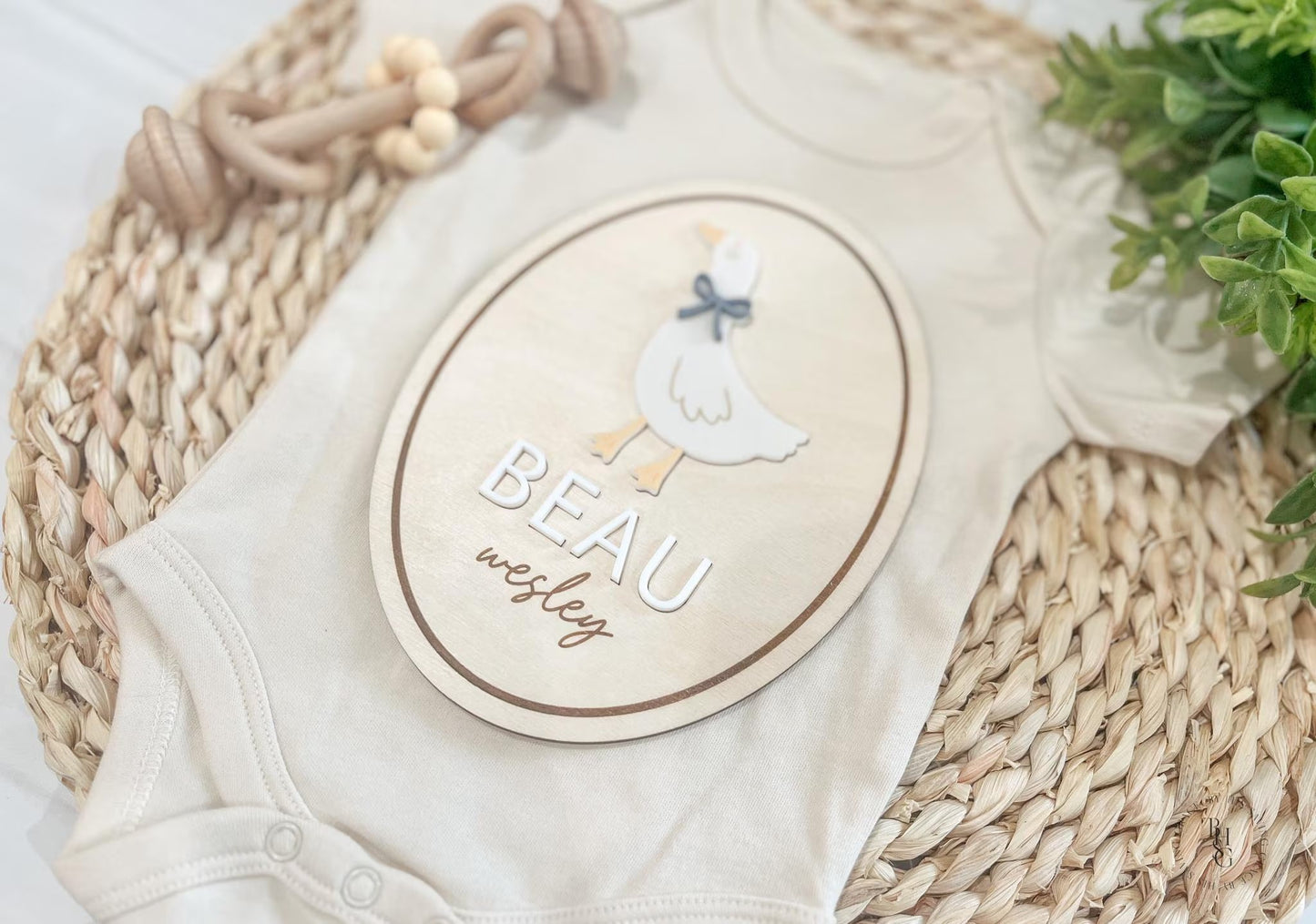 Silly Goose Baby Announcement Sign