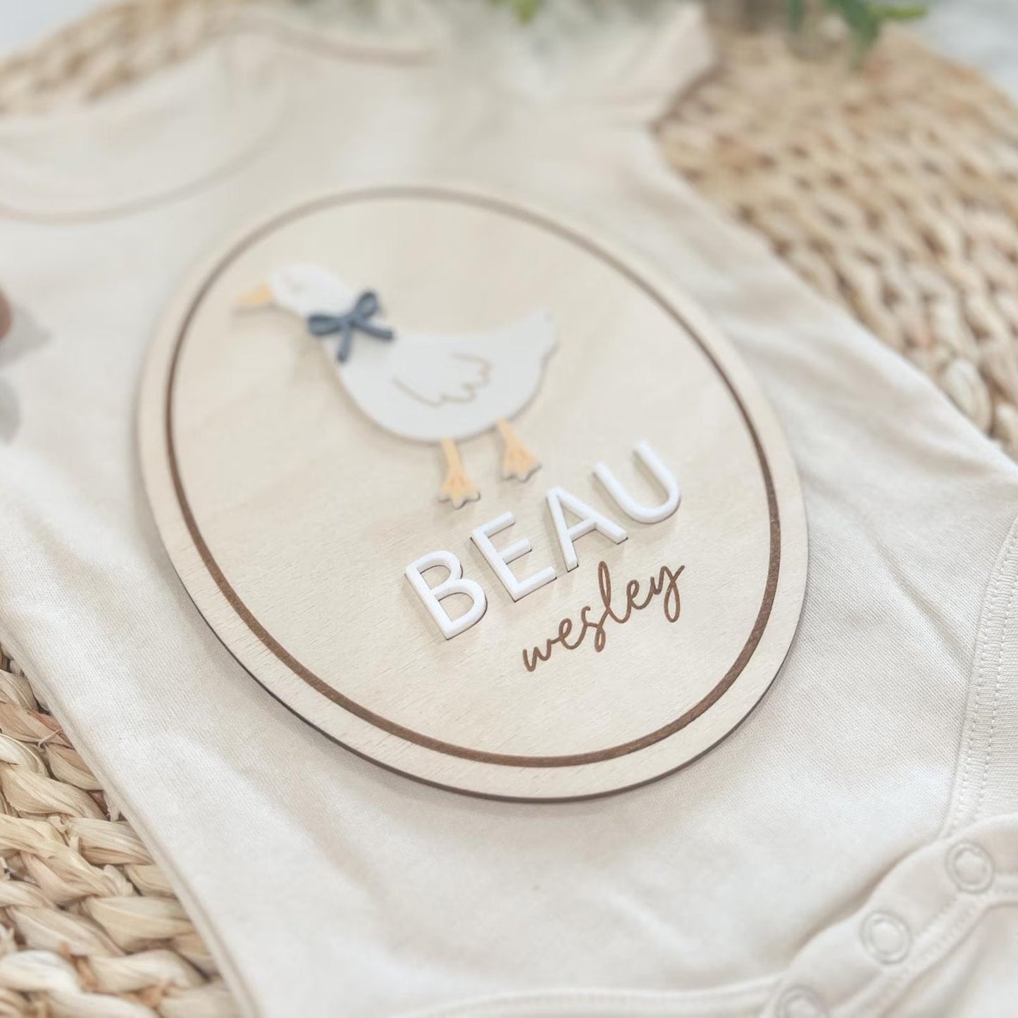 Goose Baby Announcement Sign