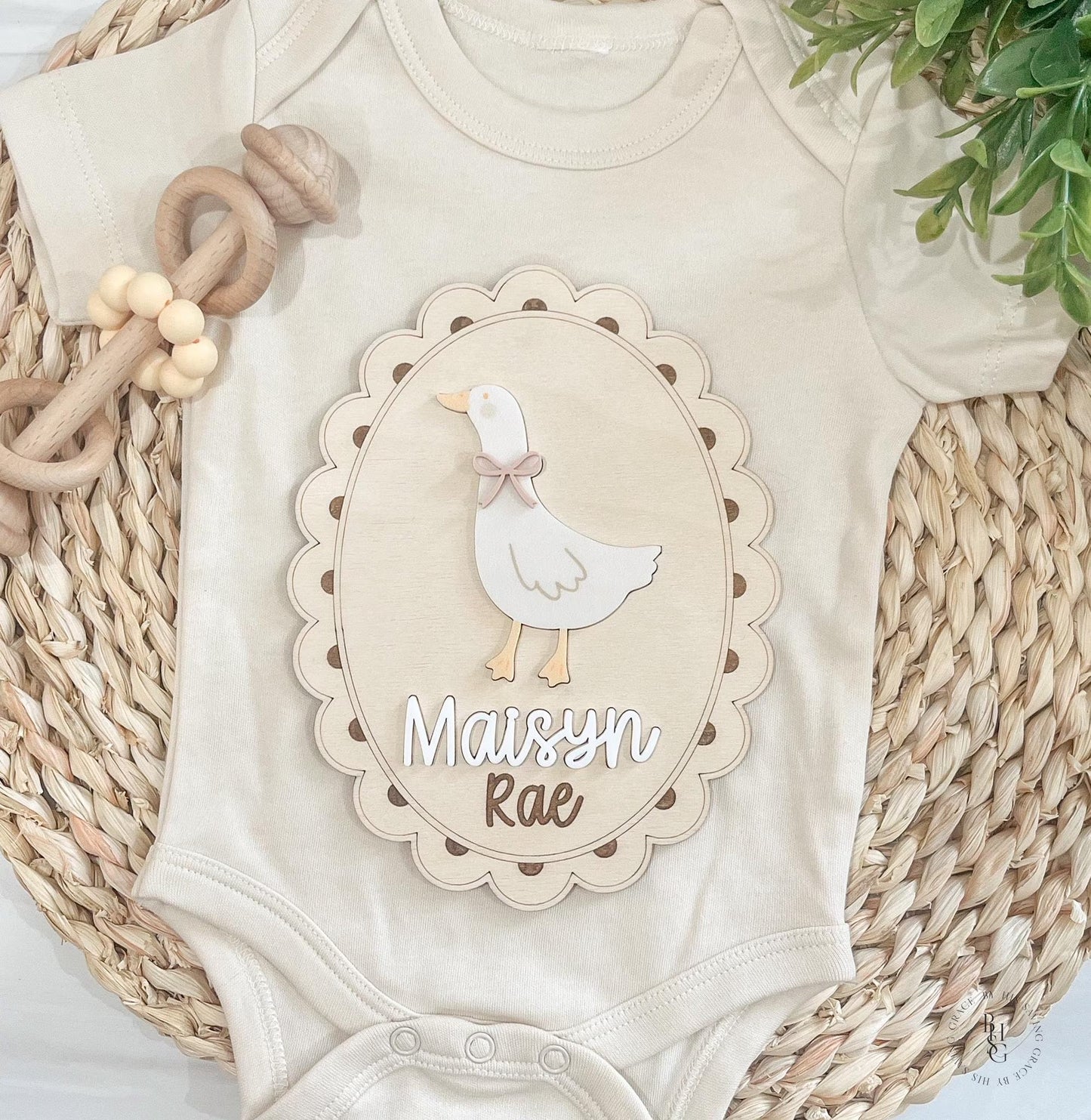 Silly Goose Baby Announcement Sign