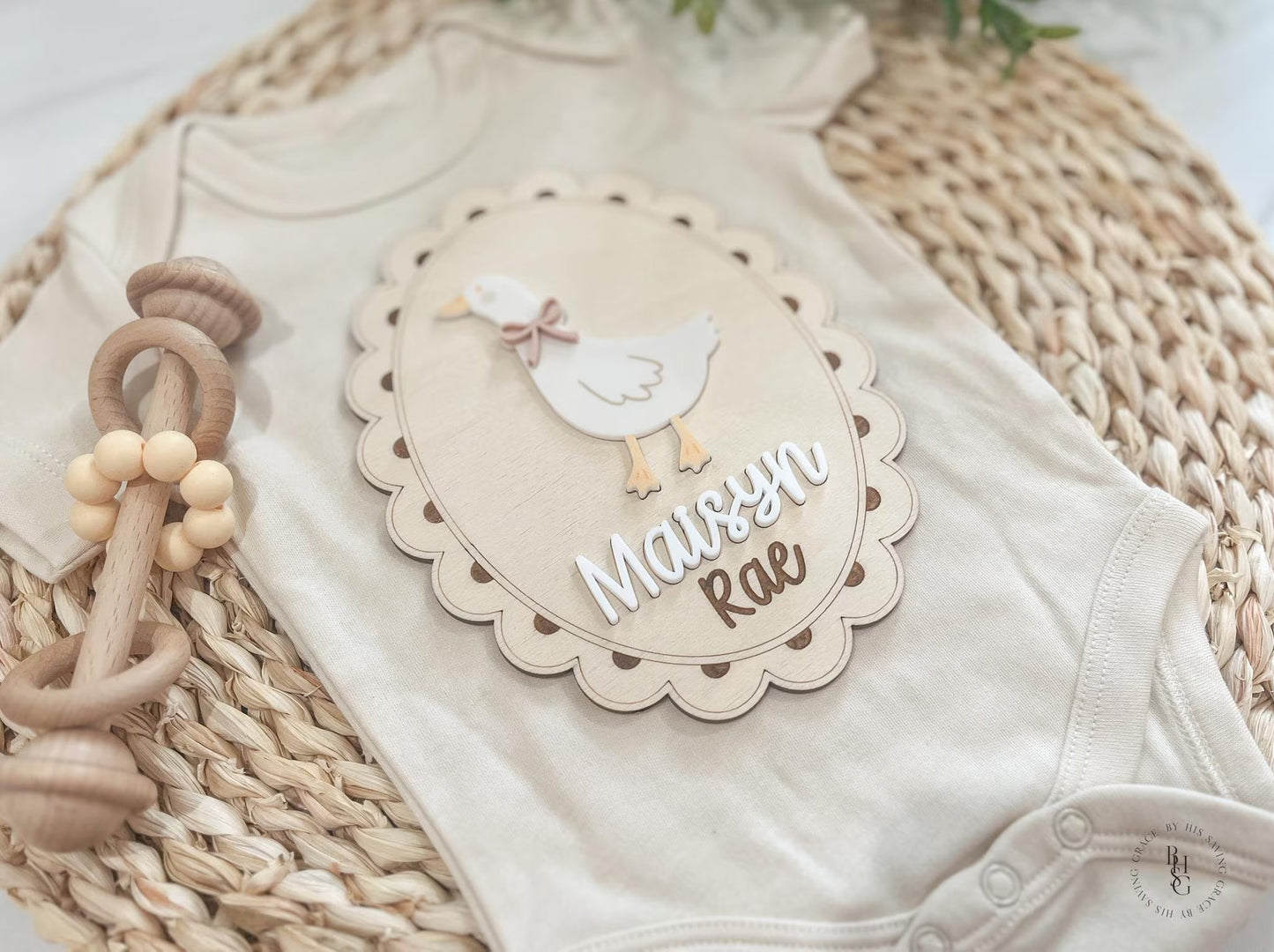 Silly Goose Baby Announcement Sign