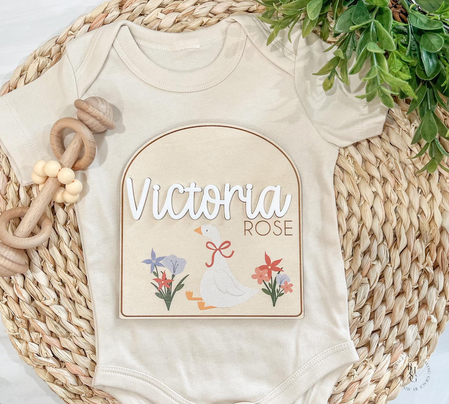 Floral Silly Goose Baby Announcement Sign