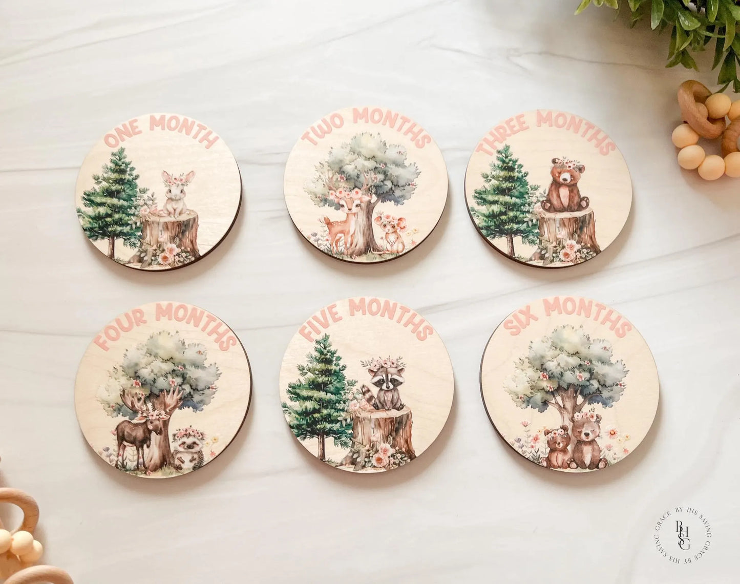 Woodland Closet Dividers & Matching Monthly Milestone Markers