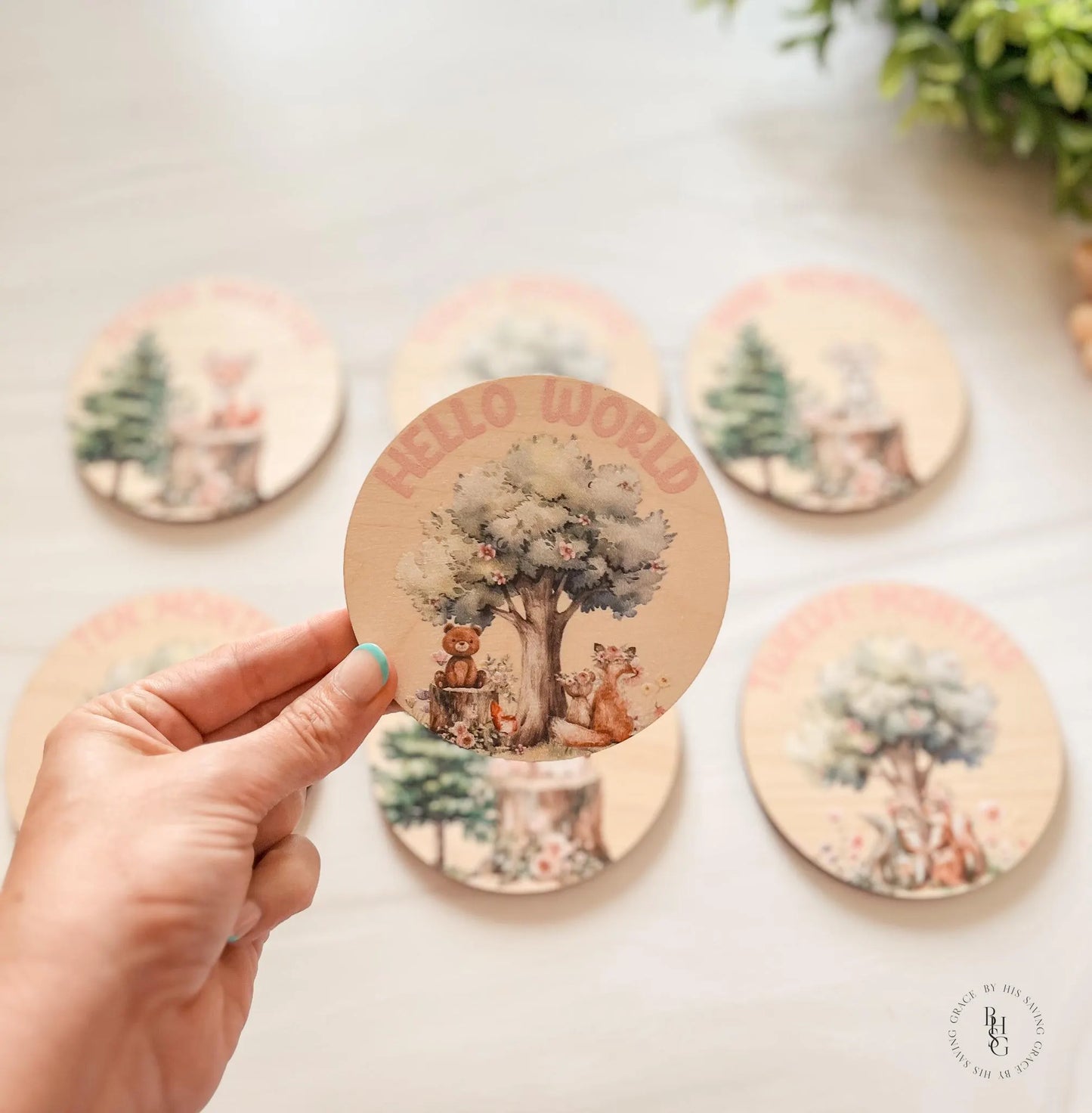 Woodland Closet Dividers & Matching Monthly Milestone Markers