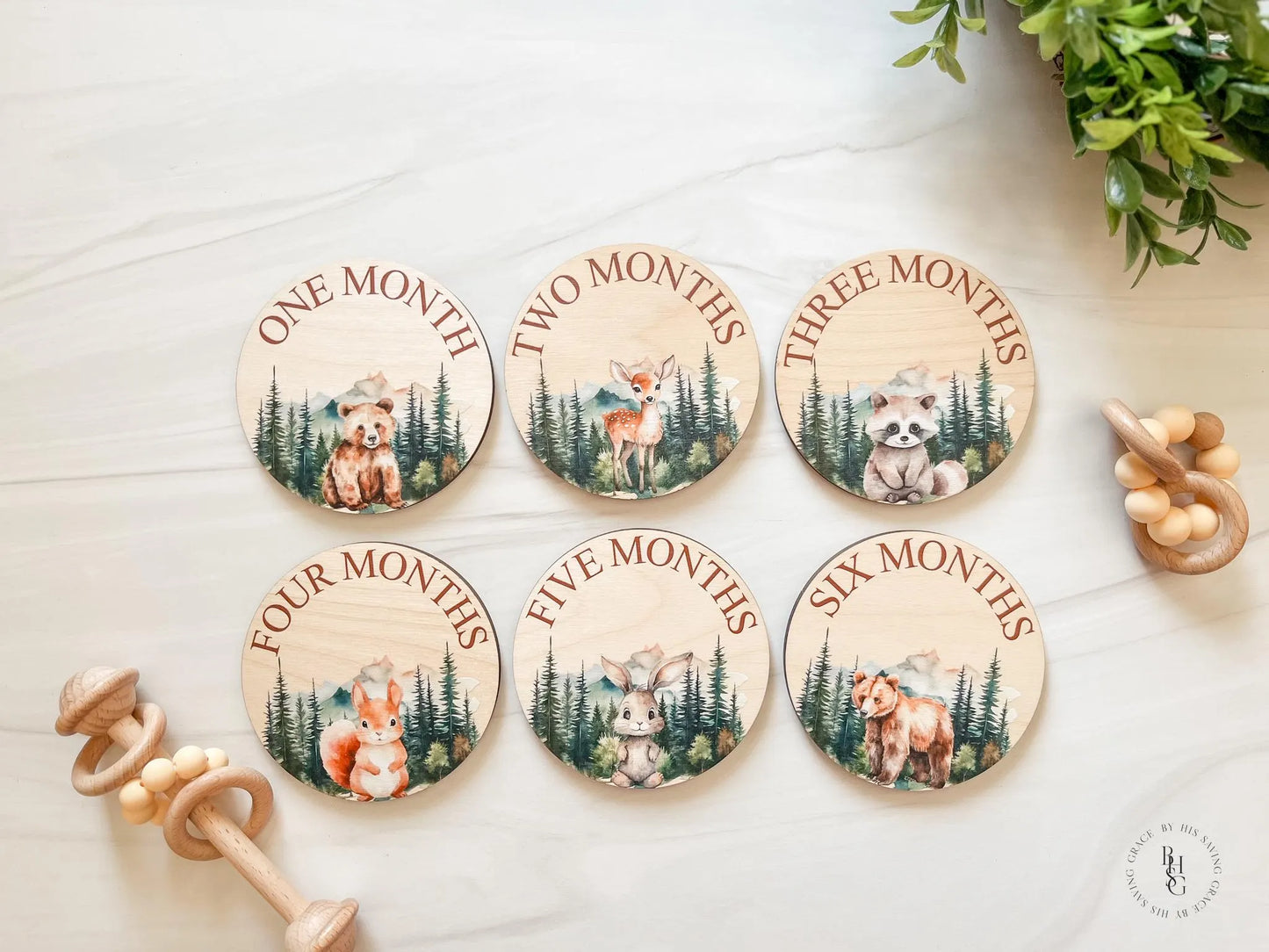 Woodland Closet Dividers & Matching Monthly Milestone Markers