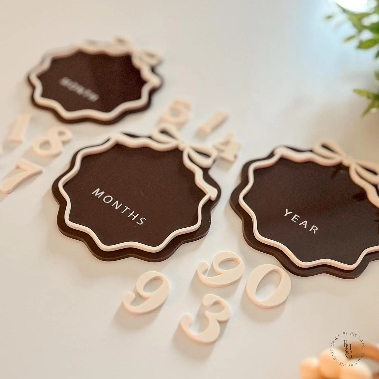 Interchangeable Number Bow Monthly Milestone Markers