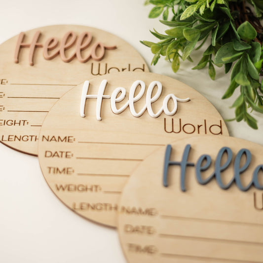 Hello World Baby Announcement Sign