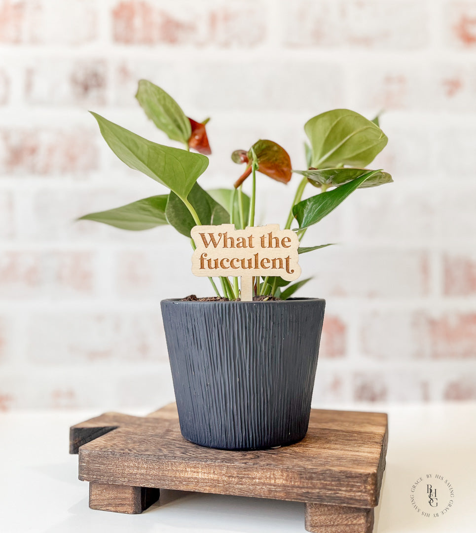 Funny Wooden Plant Stakes