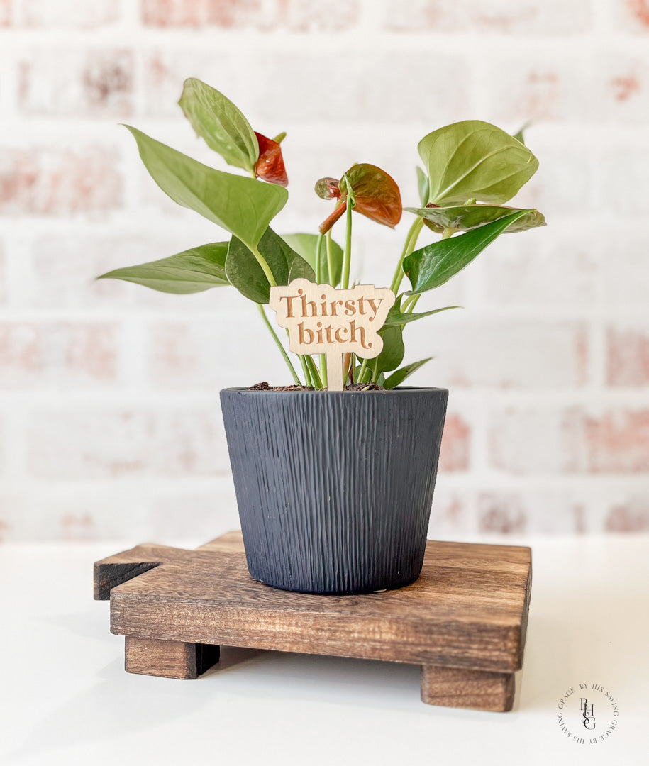 Funny Wooden Plant Stakes