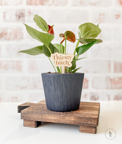 Funny Wooden Plant Stakes