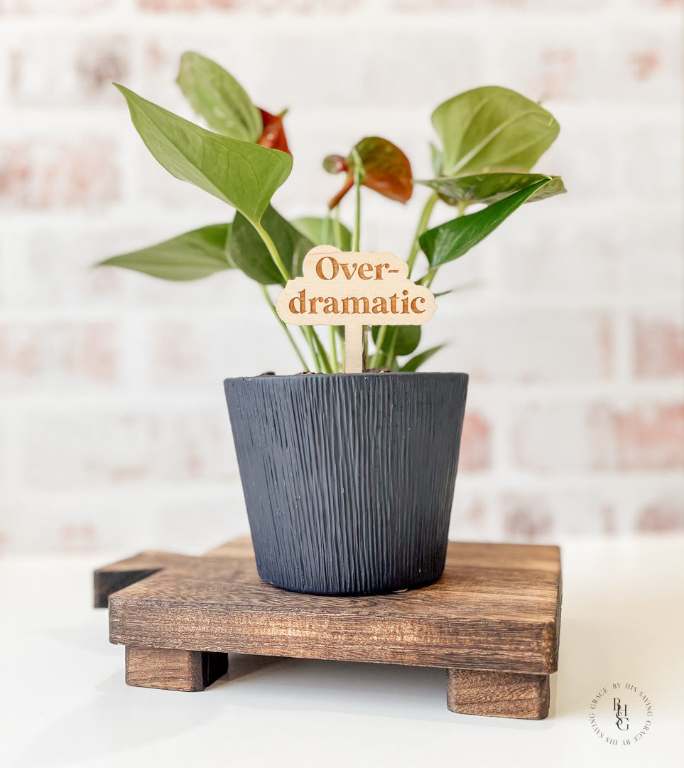 Funny Wooden Plant Stakes