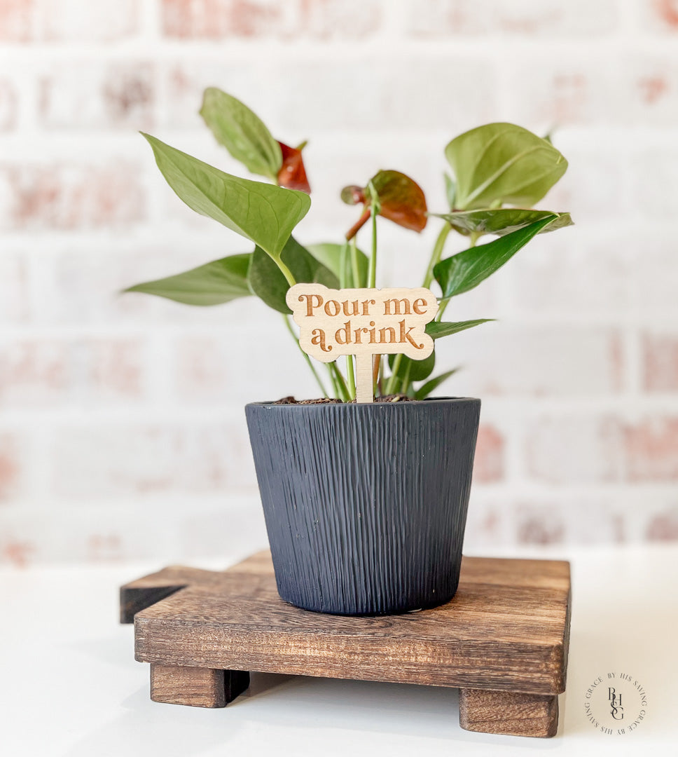 Funny Wooden Plant Stakes