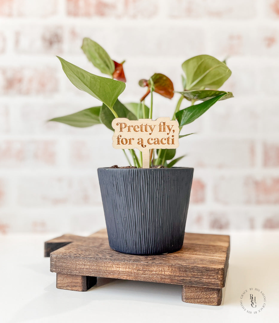 Funny Wooden Plant Stakes