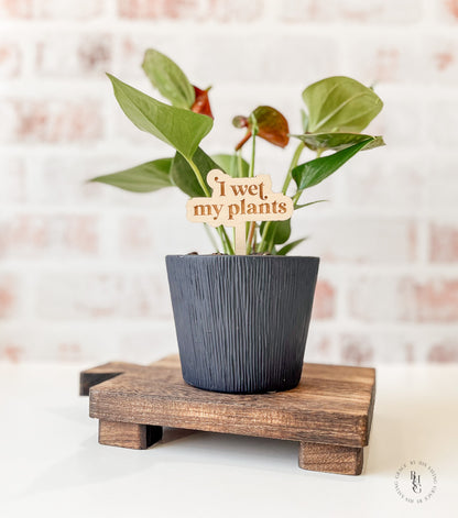 Funny Wooden Plant Stakes