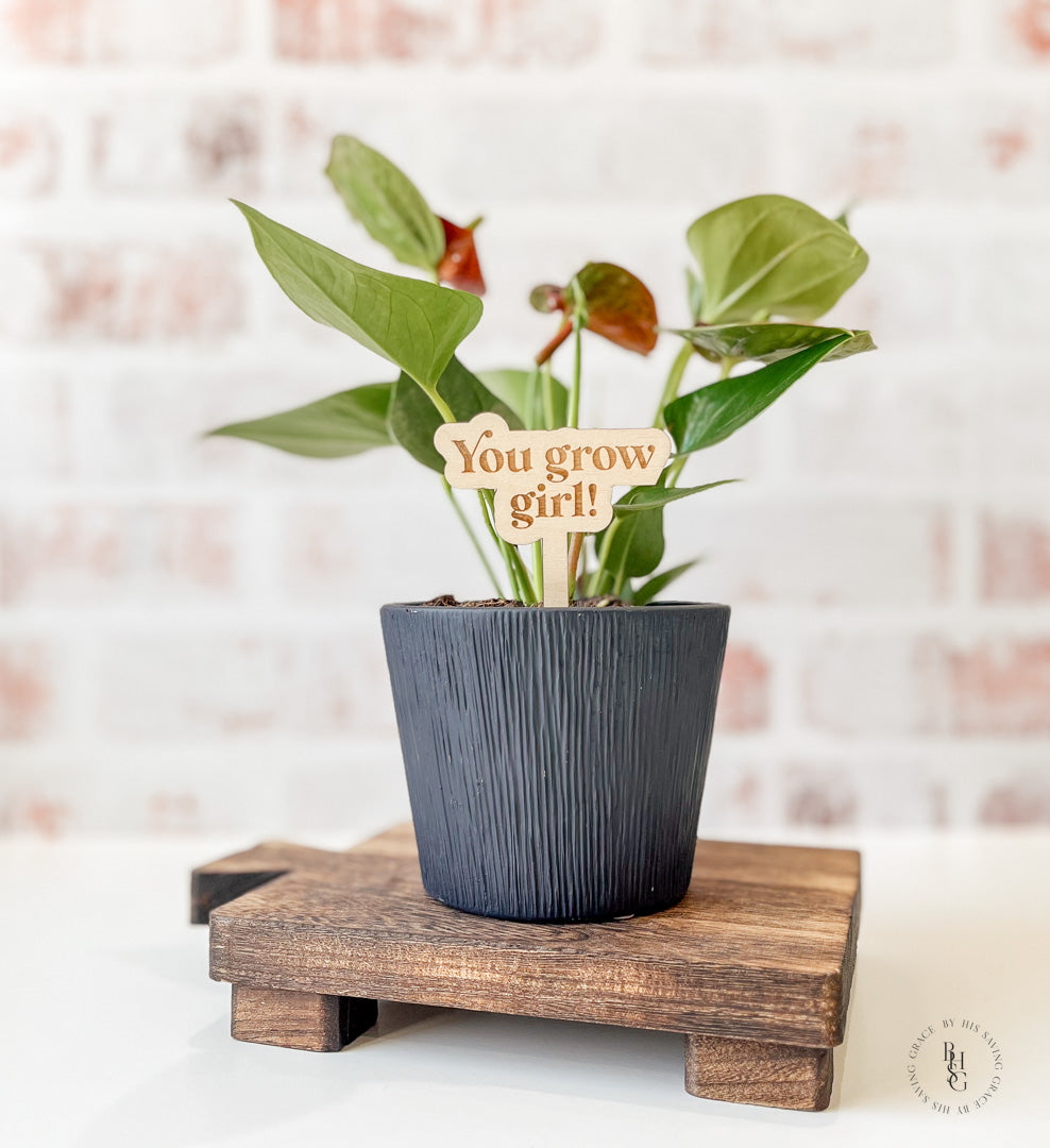 Funny Wooden Plant Stakes