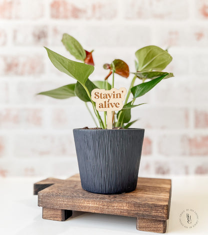 Funny Wooden Plant Stakes