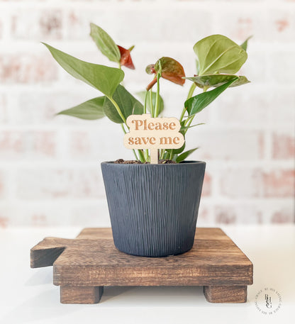 Funny Wooden Plant Stakes