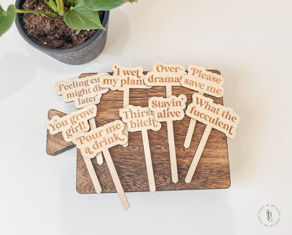 Funny Wooden Plant Stakes