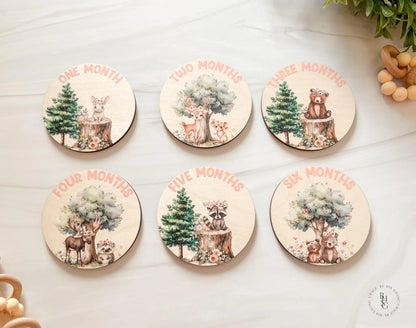 Woodland Closet Dividers & Matching Monthly Milestone Markers
