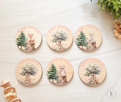 Woodland Closet Dividers & Matching Monthly Milestone Markers