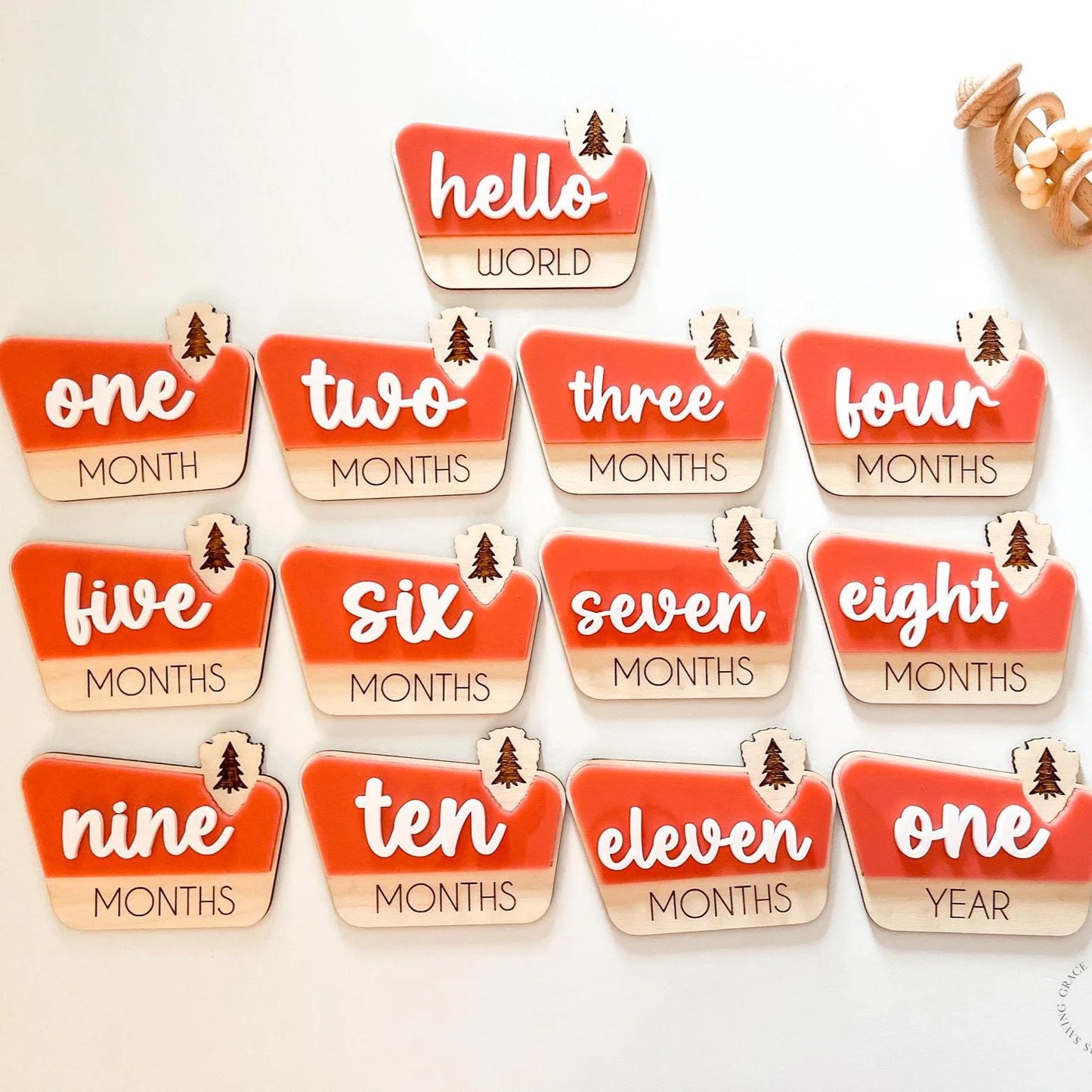 National Park Monthly Milestone Markers