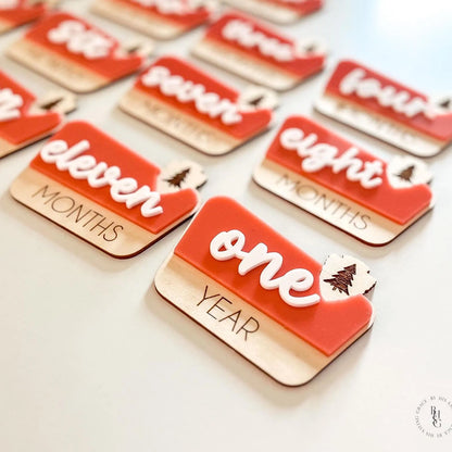 National Park Monthly Milestone Markers