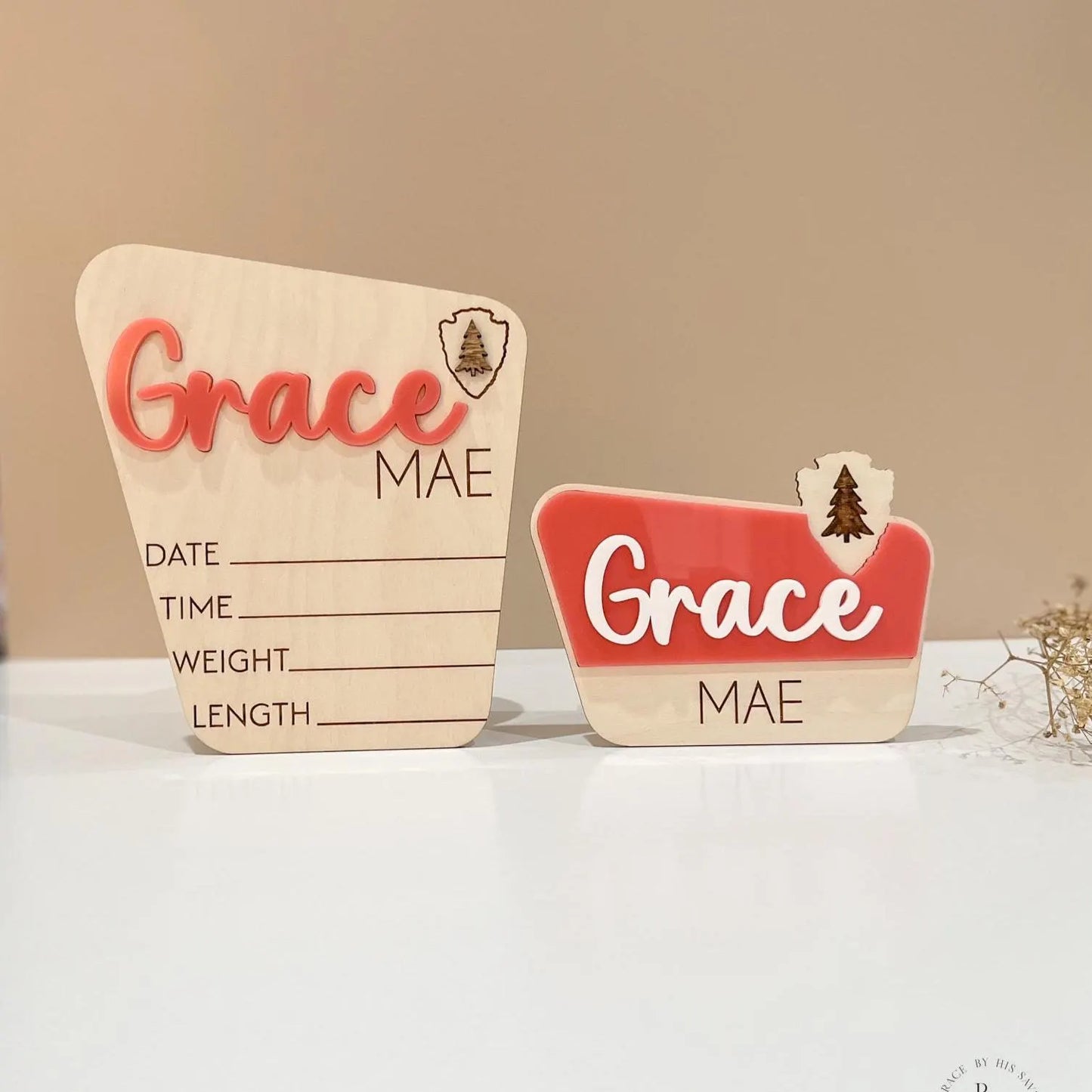 National Park Monthly Milestone Markers