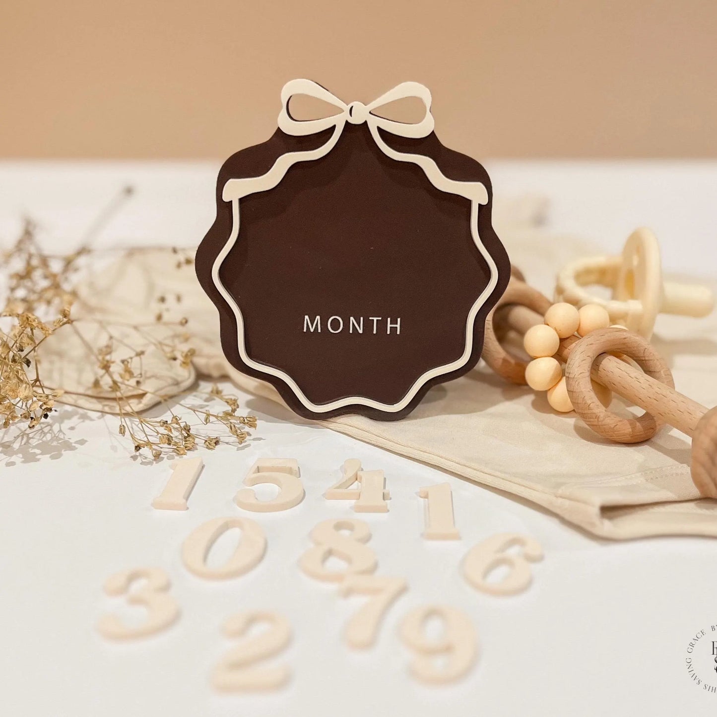 Interchangeable Number Bow Monthly Milestone Markers