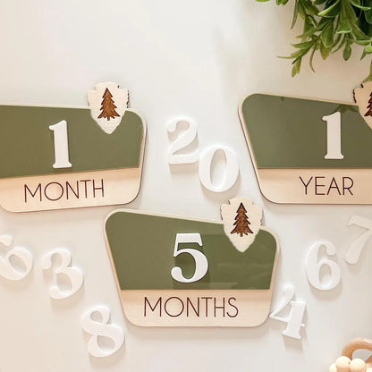 Interchangeable National Park Monthly Milestone Markers