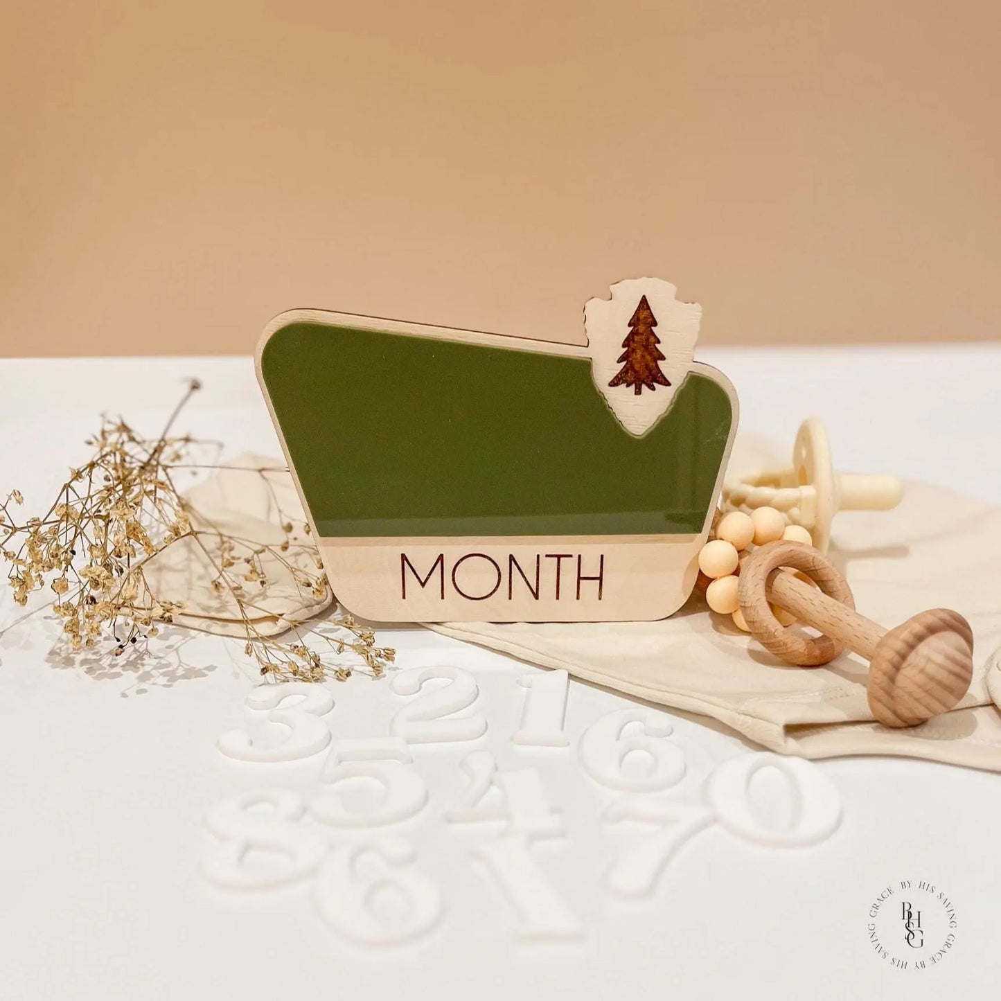 Interchangeable National Park Monthly Milestone Markers