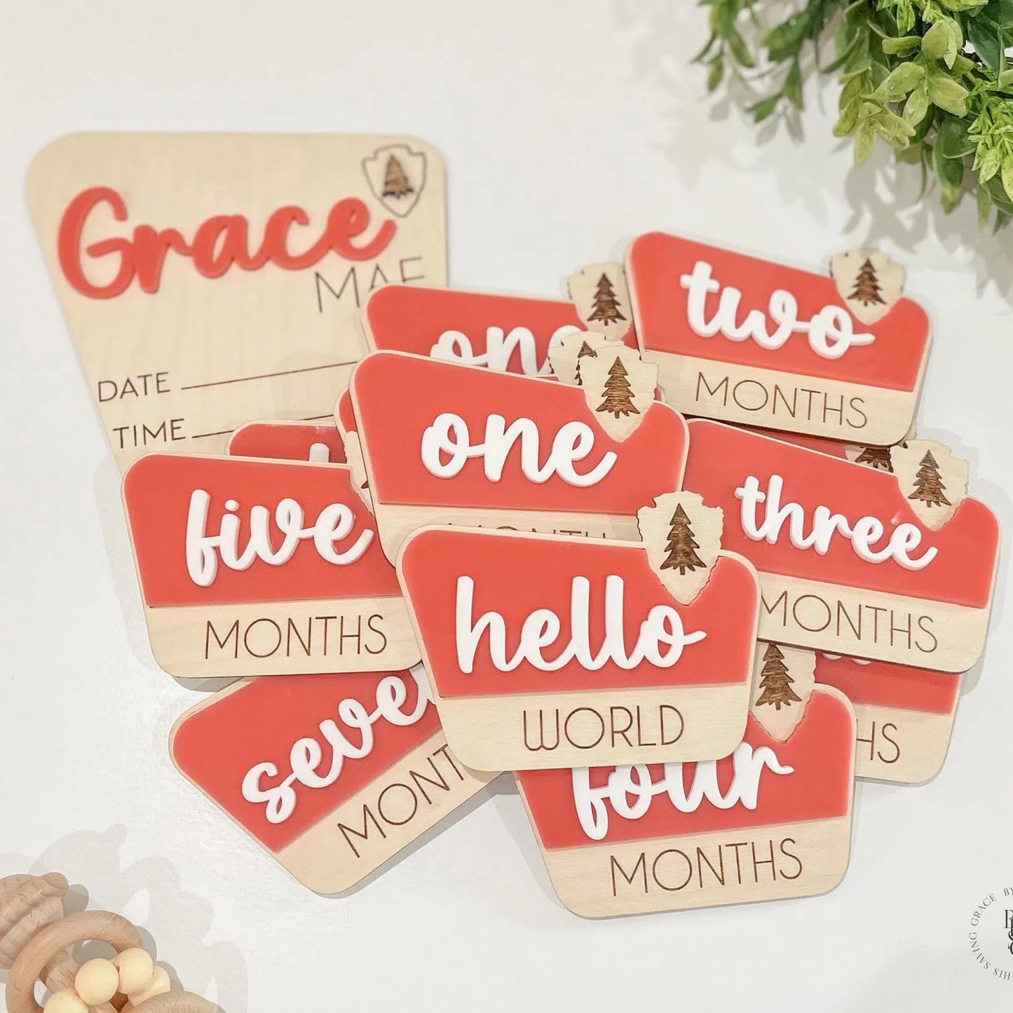 National Park Monthly Milestone Markers