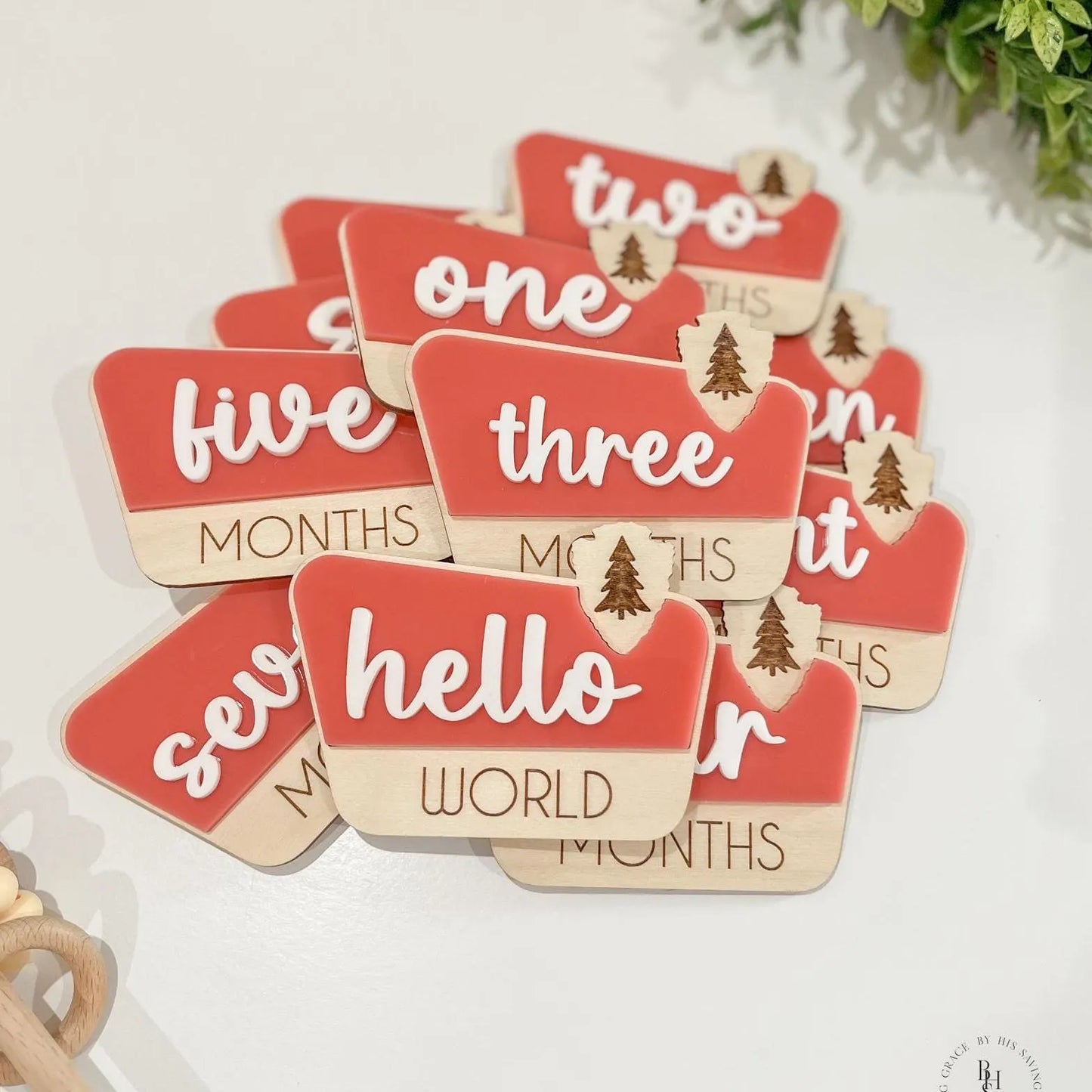 National Park Monthly Milestone Markers