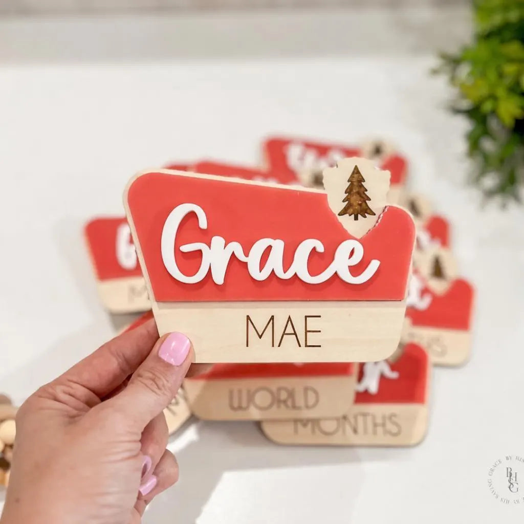 National Park Monthly Milestone Markers