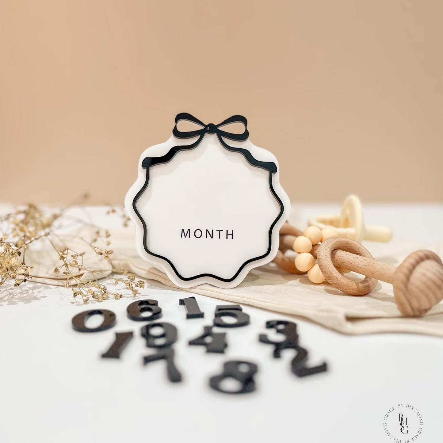 Interchangeable Number Bow Monthly Milestone Markers