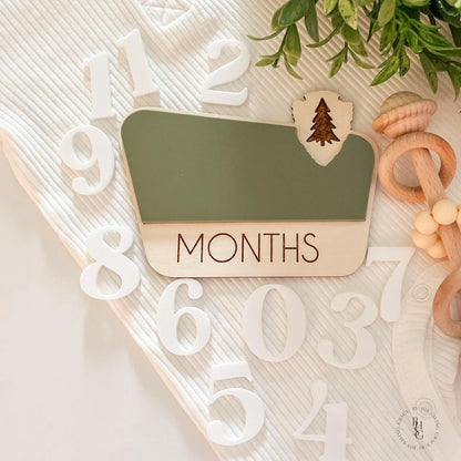 Interchangeable National Park Monthly Milestone Markers