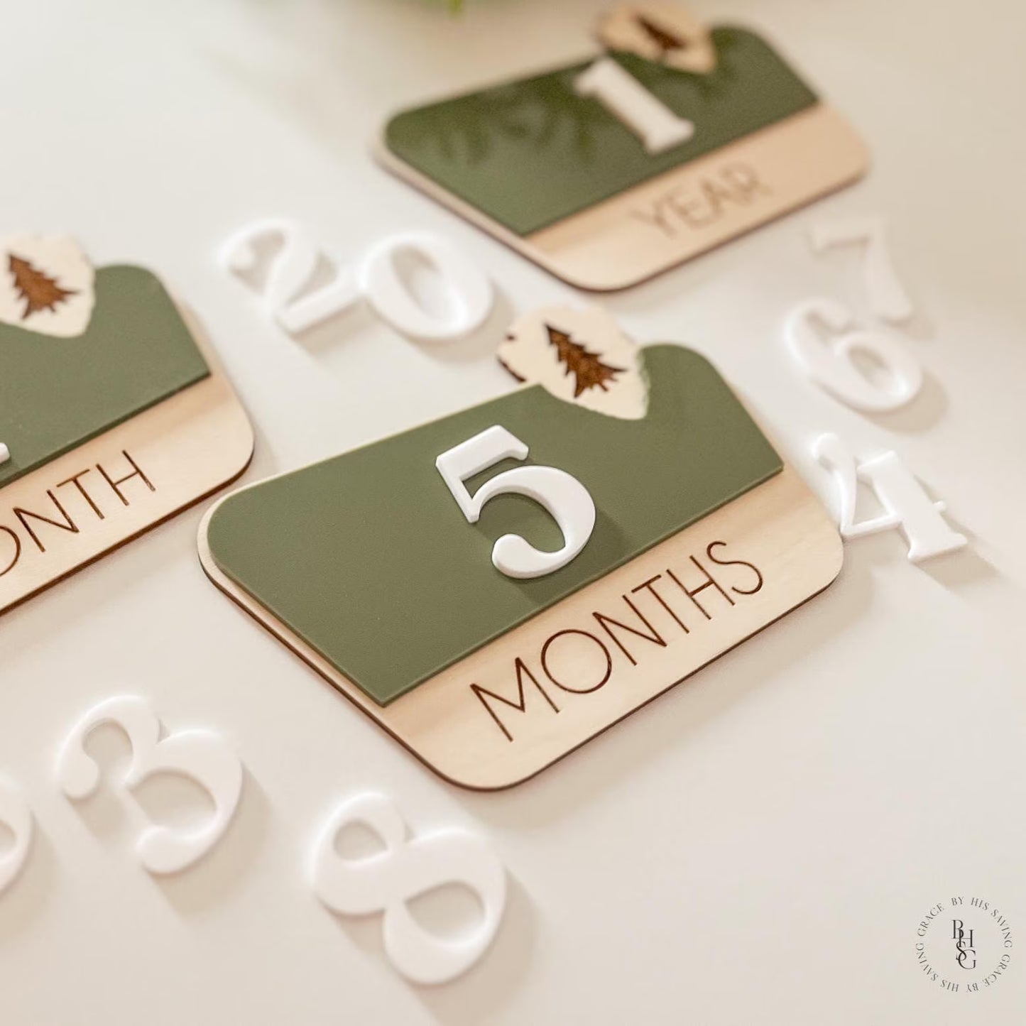 Interchangeable National Park Monthly Milestone Markers