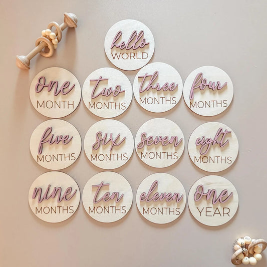 3D Monthly Milestone Markers with Vintage Rose Months