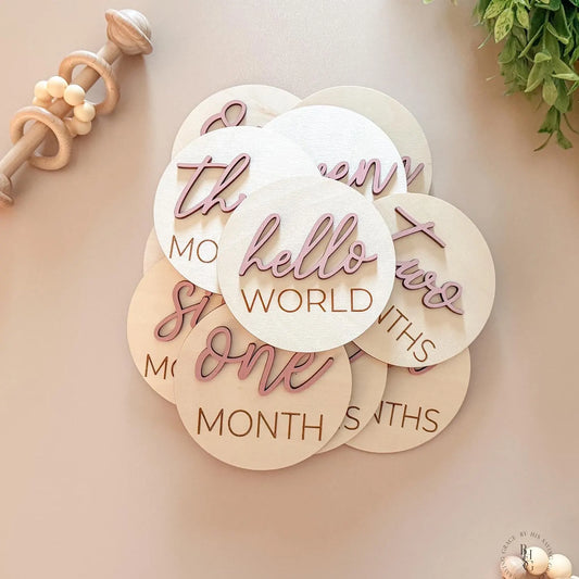 3D Monthly Milestone Markers with Vintage Rose Months